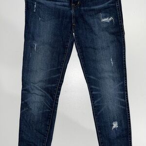 Madewell Indigo Distressed Skinny Jeans size 28